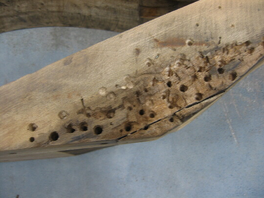Close up of drilled holes